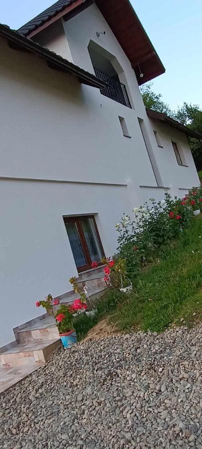 Villa Casuta Din Livada Moisei Exterior foto